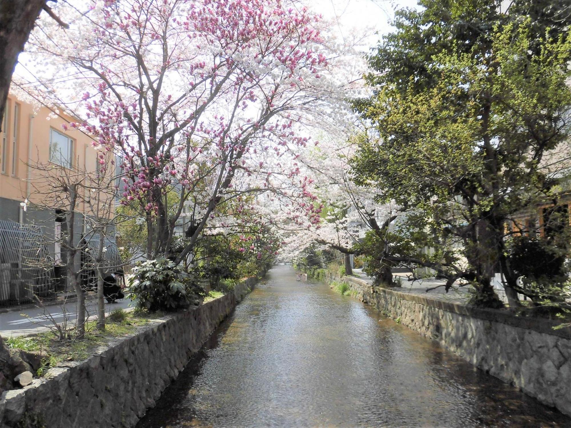 Hotel Il Verde Kyoto Extérieur photo